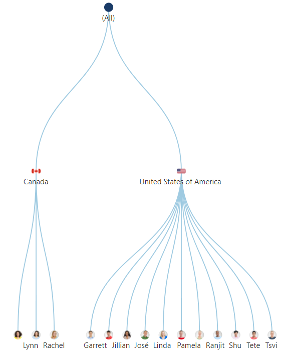 A tree diagram visualizing the sales team organization across different countries 树图可视化不同国家的销售团队组织