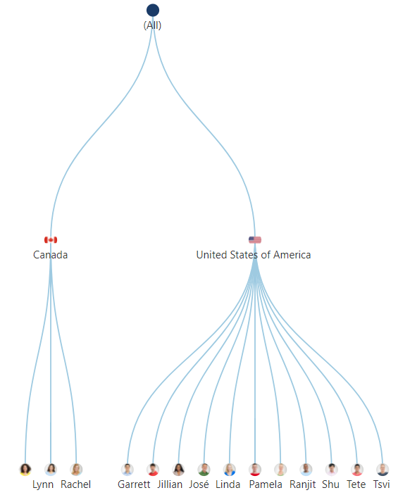 树图可视化不同国家的销售团队组织